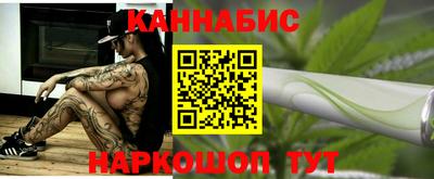 индика Сланцы