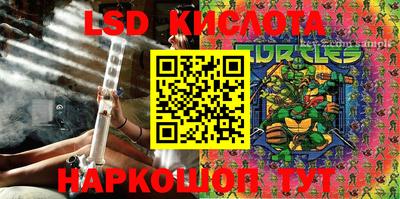 индика Сланцы