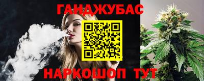 индика Сланцы