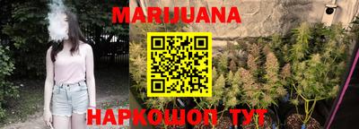 индика Сланцы