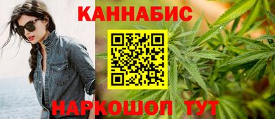 индика Сланцы