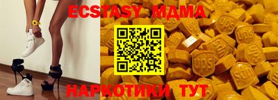 индика Сланцы