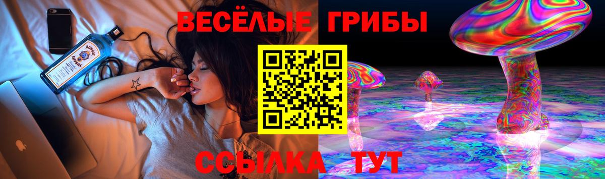 Псилоцибиновые грибы Psilocybe Ногинск